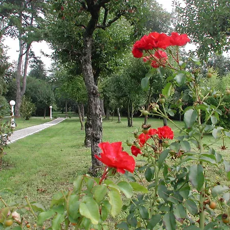 Alojamento de Acomodação e Pequeno-almoço Bornancini 4*