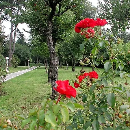 Отель типа 